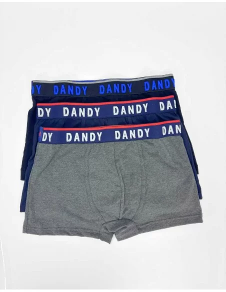 Boxer Uomo Cotone Dandy art. 253 BF Tripack