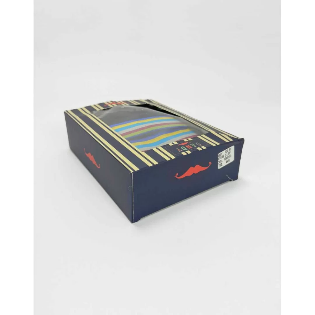 Slip Uomo Cotone Dandy art. 250 SF Tripack 2