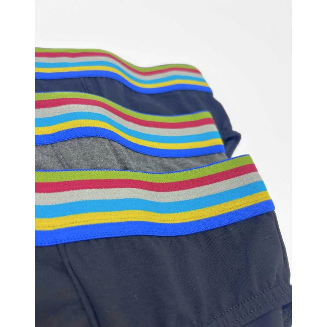 Slip Uomo Cotone Dandy art. 250 SF Tripack