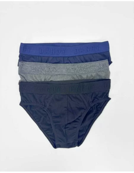 Slip Uomo Cotone Dandy art. 256 SF Tripack