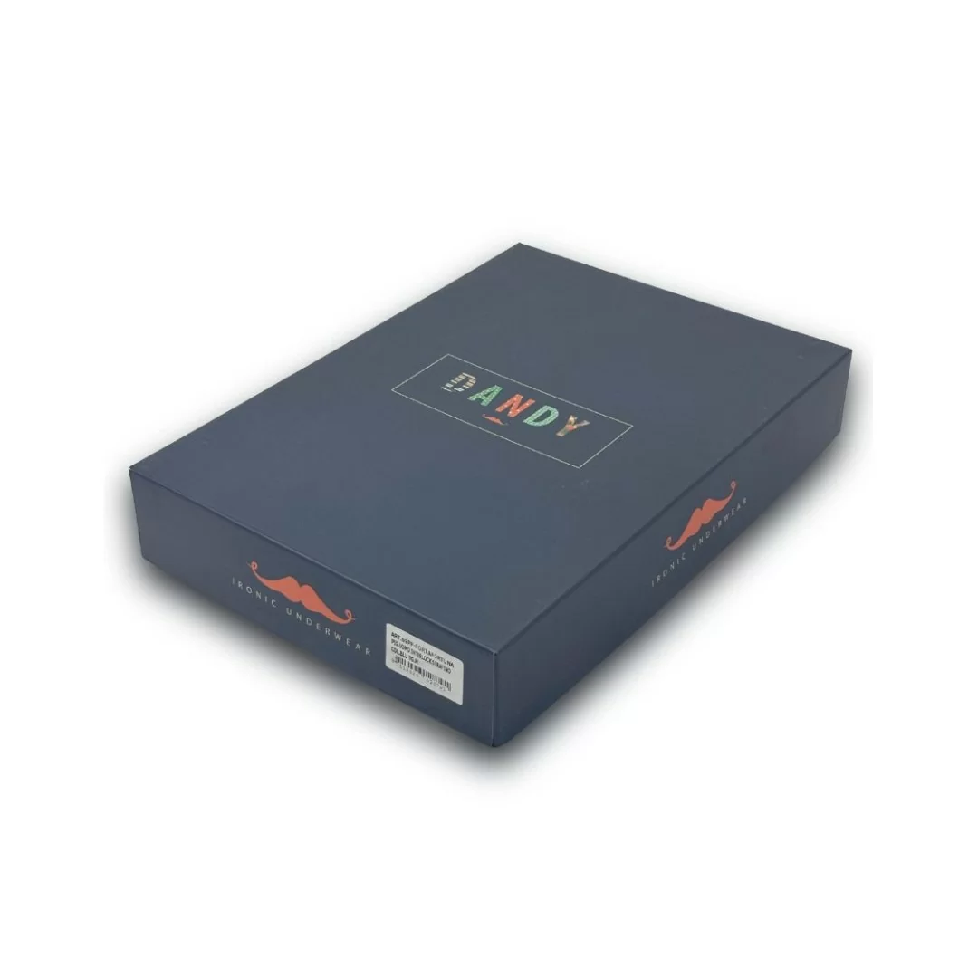 Pigiama Uomo Invernale Dandy art. 69PF...