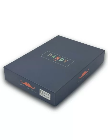 Pigiama Uomo Invernale Dandy art. 69PF Portafortuna