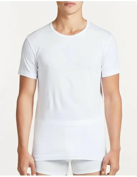 T Shirt Intima Uomo Cotone Ragno art. 601417 Bipack