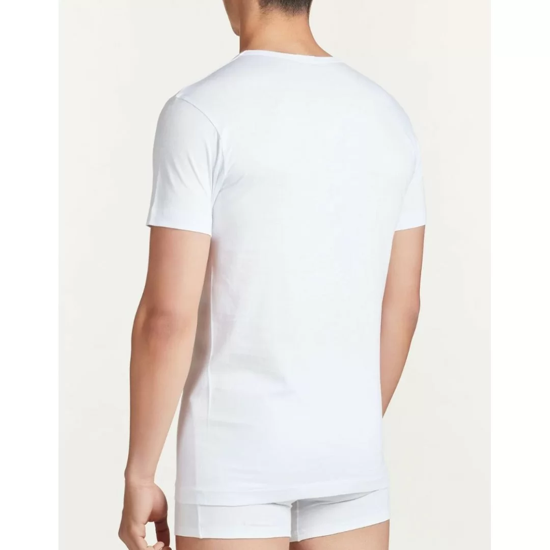 T Shirt Intima Uomo Cotone Ragno art. 601417...