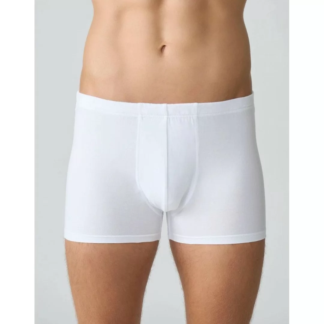 Boxer Uomo Cotone Ragno art. U747BZ Tripack