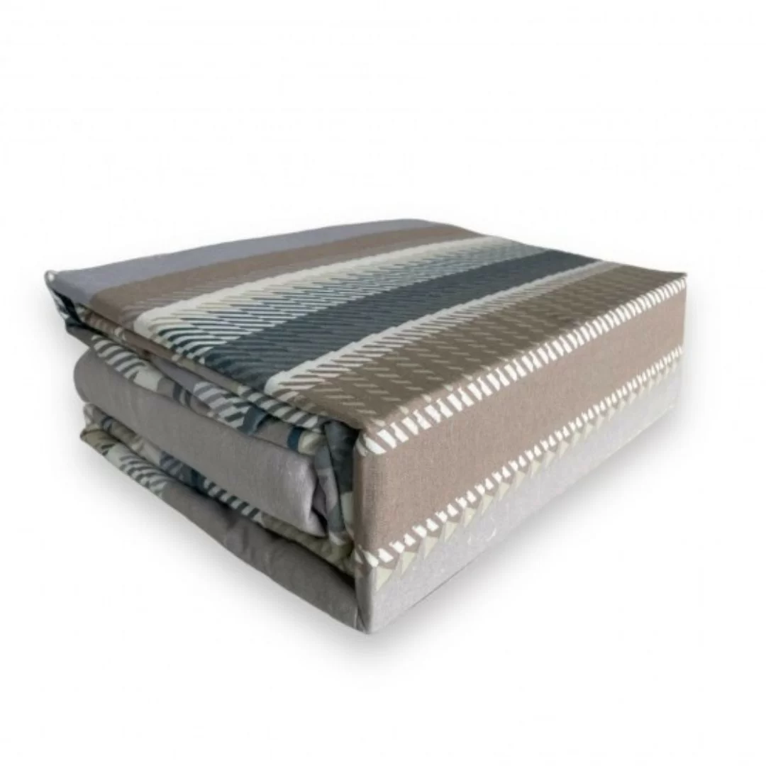 Completo Letto Flanella Singolo Bassetti art. Gang 2