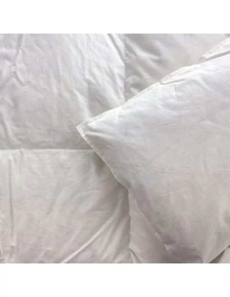 Piumino Matrimoniale Invernale Bassetti art. Green