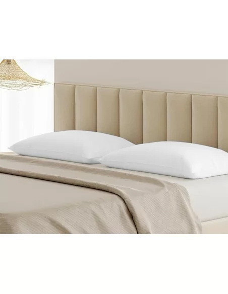 Coppia Federe Biancaluna art. Colored Puro Cotone